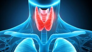 Pruebas de Función Tiroidea