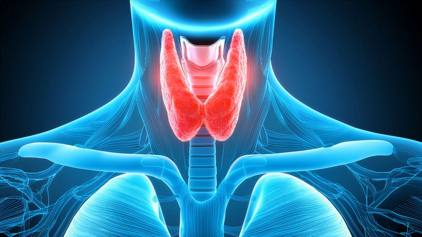 Pruebas de Función Tiroidea