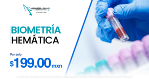 pagina web artes 03