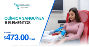 pagina web artes 06