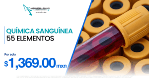 pagina web artes 13